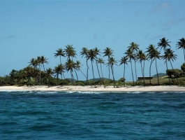 Petit Nevis Island