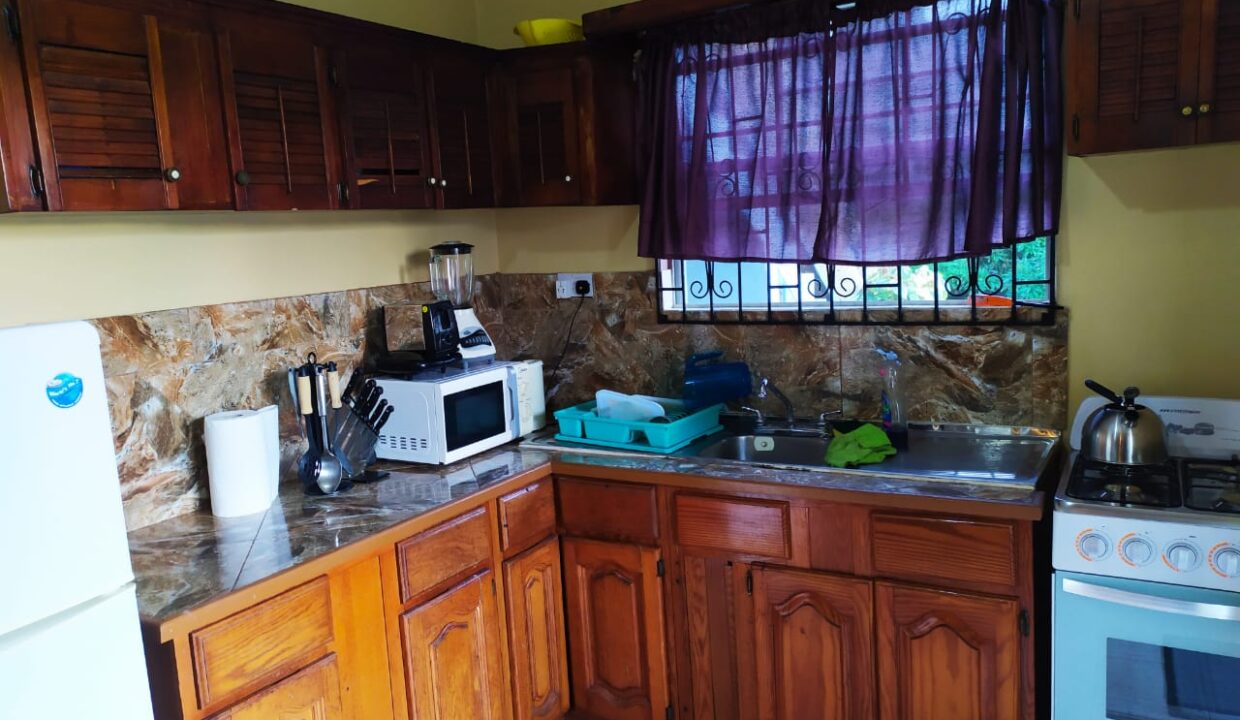 5AB59949-D587-7E8E-91E1-419CEEC3C318_Main-House-Kitchen