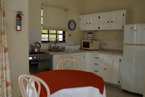C5833F31-5A62-28EE-D951-724FD891ADEC_kitchen-1