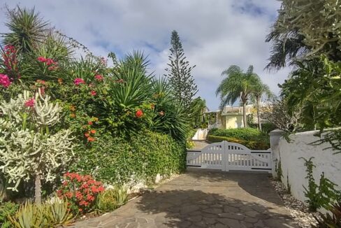 Drive way