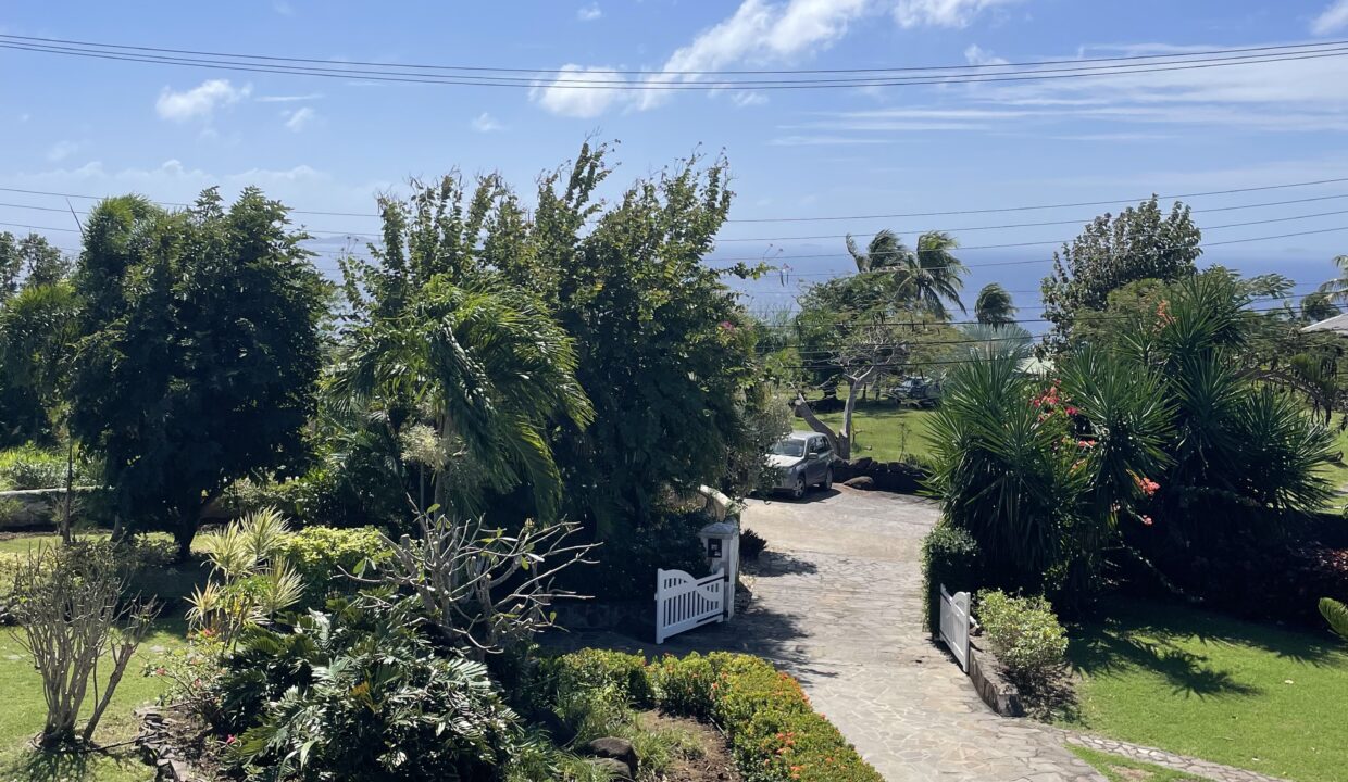Driveway from porch