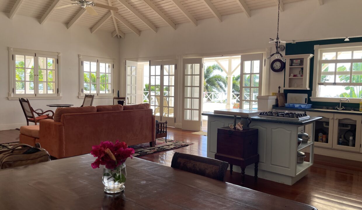 Living room and kitchen