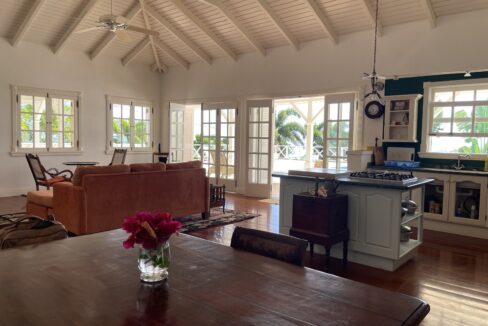 Living room and kitchen